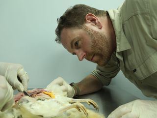 Expedition Unknown - Mythen auf der Spur