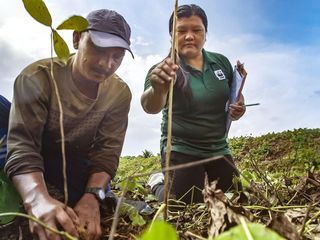 Gute Nachrichten vom Planeten