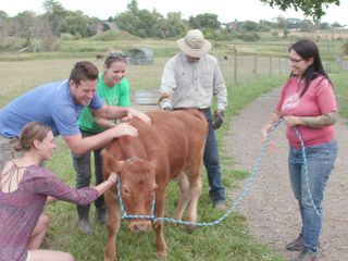 Animal Farm Michigan - Zuflucht fuer Tiere