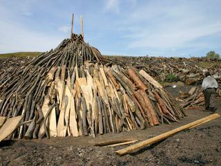 Die letzten Koehler von Rumaenien
