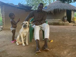Uganda: Hunde der Hoffnung