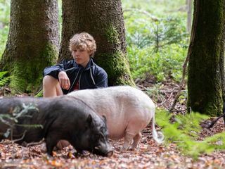 Tiere bis unters Dach