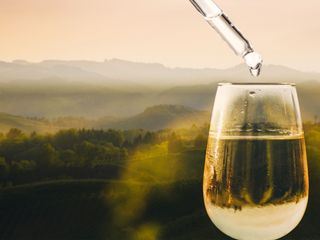 Der grosse Weinskandal - Panscher und Profit