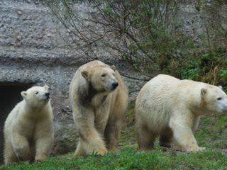 Neues aus dem Muenchner Tierpark Hellabrunn