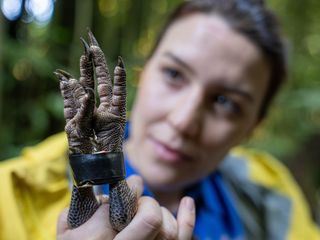 Terra X: Faszination Erde