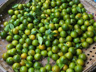 Landgasthaeuser Alpenschmankerl