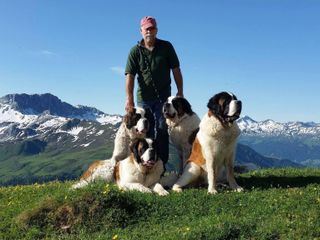 Schweizer Hundegeschichten 