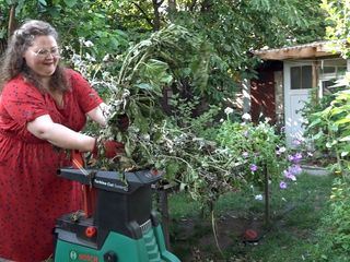 Von Hecke zu Hecke - Bunte Beetgeschichten
