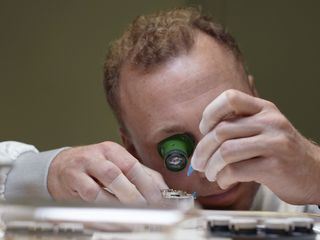 Mein Koerper. Meine Haende. Wie sie unser Gehirn trainieren