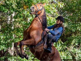 Tieraerztin Dr. Mertens