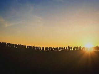 Die verlorenen Schaetze der Bibel