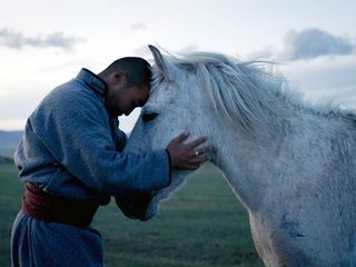 Mongolei: Der Pferderetter