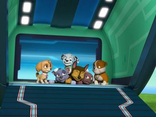 Paw Patrol