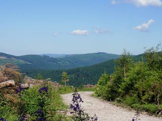 Expedition in die Heimat