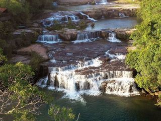 Expeditionen ins Tierreich