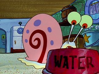 SpongeBob Schwammkopf