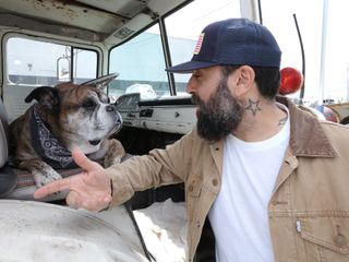 Pet Palace - Haustraeume fuer Haustiere