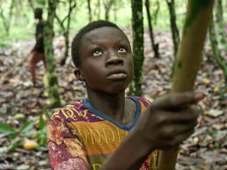 Das Maerchen von der sauberen Schokolade