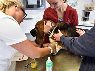 Hautnah: Die Tierklinik Hautnah: Die Tierklinik