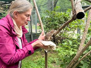 Anna und die wilden Tiere