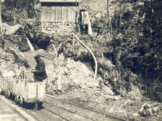 Die Urzeit am Bodensee - als noch Elefanten grasten