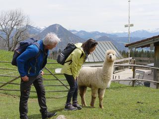 Gipfeltreffen