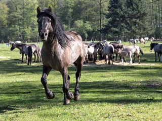 Unser Westen, unser Bestes