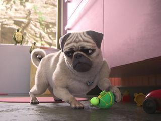 Mighty Mops 