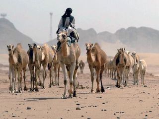 Stadt Land Kunst Spezial