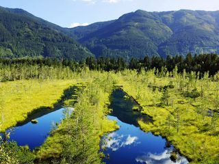 Geheimnisvolle Moorlandschaften