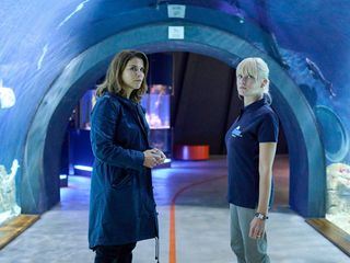 Stralsund: Die rote Linie