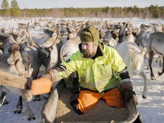 Lappland - Gemeinsam einsam und doch nicht allein