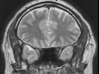 Press Enter to finish the day