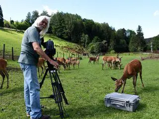 Das Rodltal - vom Sternstein bis zur Donau