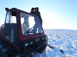 Life Below Zero - Überleben in Alaska