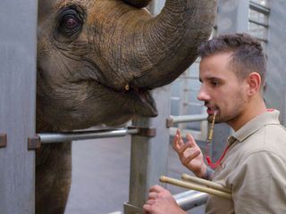 Seeloewe & Co. - tierisch beliebt