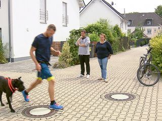 Der Hundeprofi Der Hundeprofi