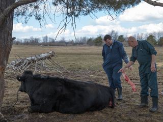 Der unglaubliche Dr. Pol