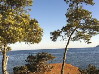 Ibiza - die magische Insel