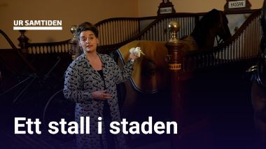 UR Samtiden - Hallwylska palatset och teknikens under