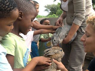 Das Waisenhaus fuer wilde Tiere