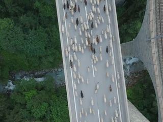 Wilder Rhein - Der beruehmte Unbekannte