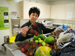 Flughafen New York - Kampf den Schmugglern