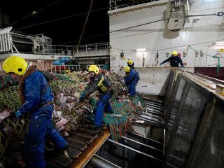 Hochseefischen am Nordpolarmeer Hochseefischen am Nordpolarmeer