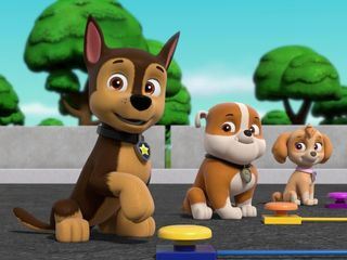 Paw Patrol: Helfer auf vier Pfoten