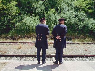 Die Vertreibung der Elefanten