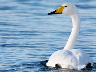 Grossbritannien - Im Rhythmus der Natur