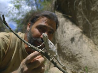 Extreme Survival mit Hazen Audel: Safari durch das Rift Valley