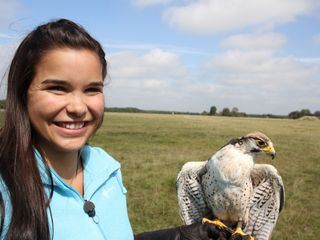 Anna und die wilden Tiere