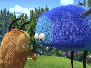 Kiwi & Strit